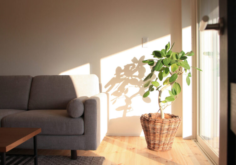 at中央　（平屋）